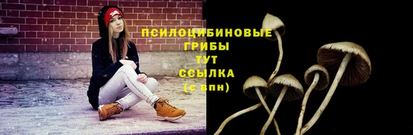 эйфоретик Нефтегорск