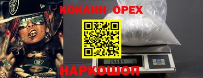 амф Гусев