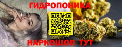 амф Гусев