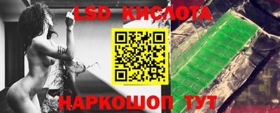 амф Гусев