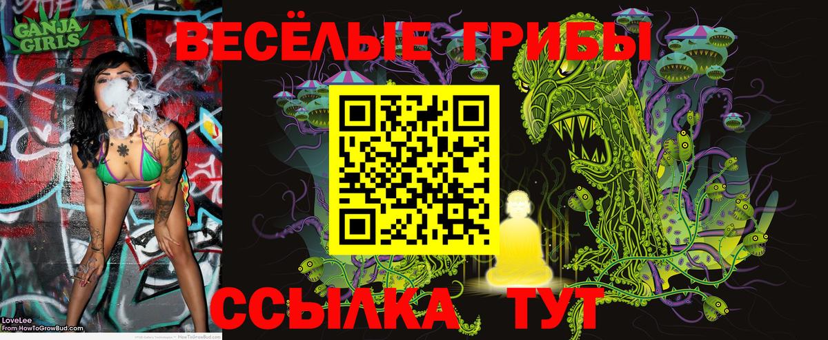Псилоцибиновые грибы GOLDEN TEACHER Красноармейск
